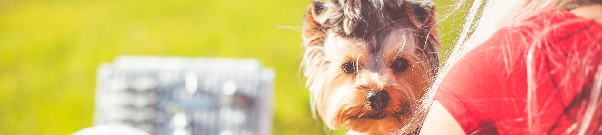 Pet Protect Header Image